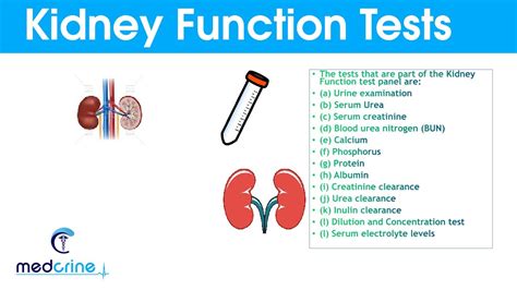 blood work for kidneys